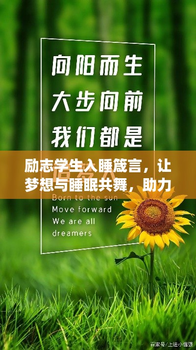 励志学生入睡箴言,让梦想与睡眠共舞,助力成长之路