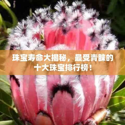 珠宝寿命大揭秘,最受青睐的十大珠宝排行榜!