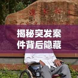 揭秘突发案件背后隐藏的作恶行为真相