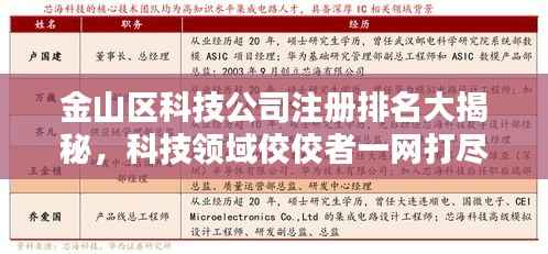 金山区科技公司注册排名大揭秘,科技领域佼佼者一网打尽!