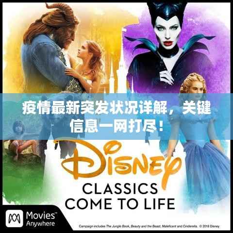 疫情最新突发状况详解,关键信息一网打尽!